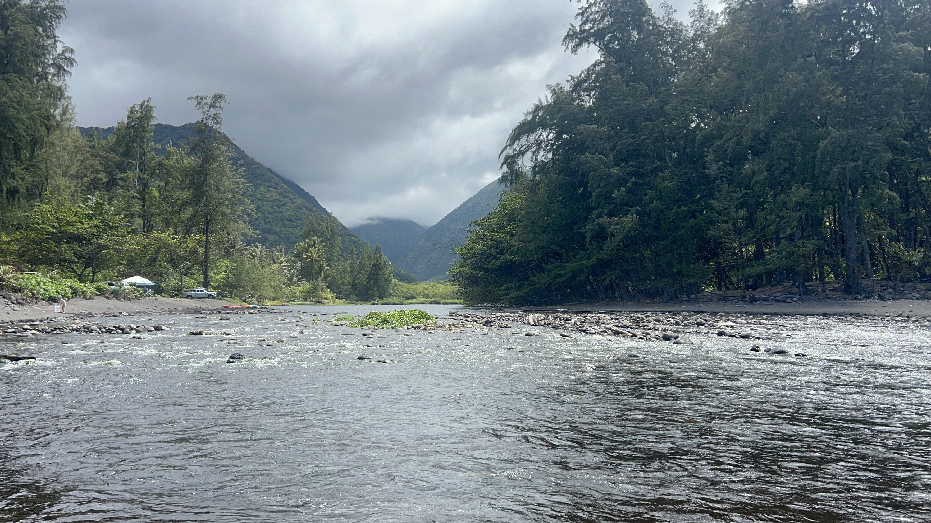 Trail through greenery
